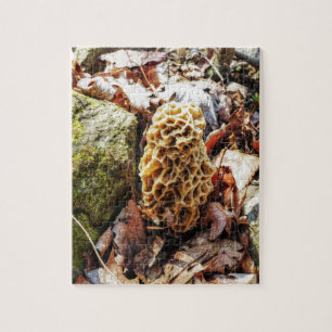 Puzzle Morel Mushroom en el salvaje