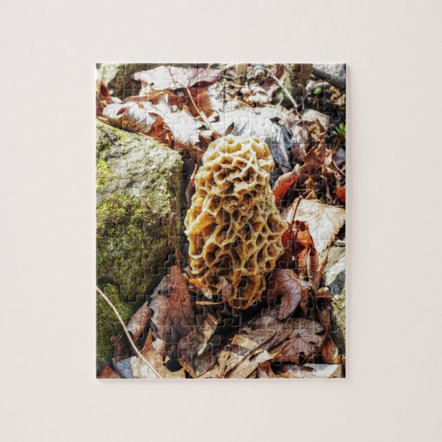 Puzzle Morel Mushroom en el salvaje (Vertical)
