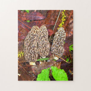 Puzzle Morel Mushrooms
