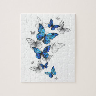 Puzzle Morfo de las mariposas voladoras azules