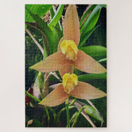 Puzzle Morning Calm: Blush Petals in Gentle Focus