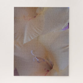 Puzzle Morning Calm: Blush Petals in Gentle Focus