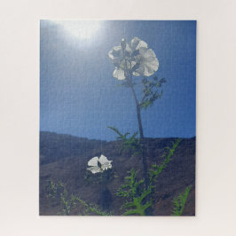 Puzzle Morning Calm: Cream Blossom in Translucent Light