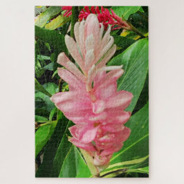 Puzzle Morning Calm: Pale Pink Ginger Flower Soft Petals