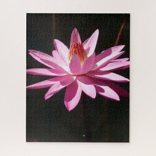 Puzzle Morning Calm: Pink Lotus in Soft Natural Light (Vertical)