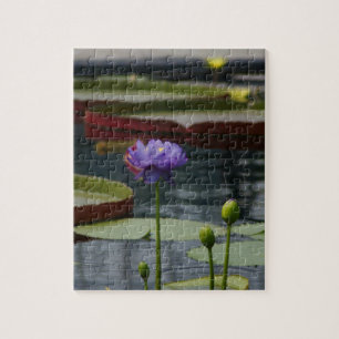 Puzzle Morple Waterlily