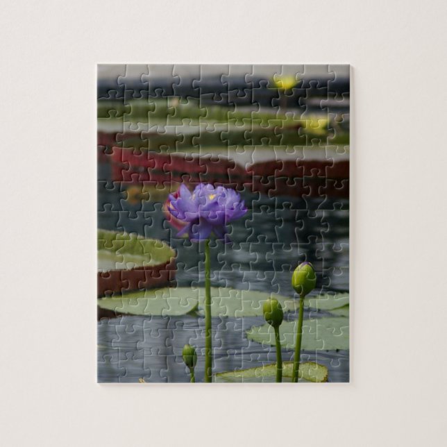 Puzzle Morple Waterlily (Vertical)