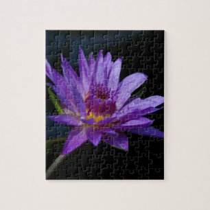 Puzzle Morple Waterlily Lotus