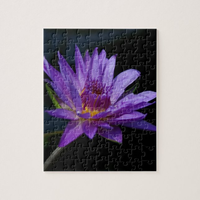 Puzzle Morple Waterlily Lotus (Vertical)