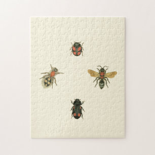 Puzzle Moscas y escarabajos por Vision Studio