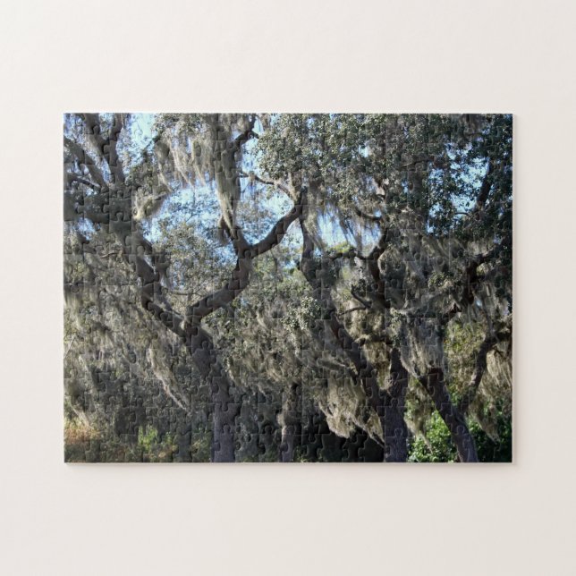 Puzzle Moss españoles de Florida (Horizontal)