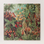 Puzzle Mosses, muscinae Laubmoose por Ernst Haeckel<br><div class="desc">Muscinae Laubmoose de Ernst Haeckel Vintage Plants Jigsaw Puzzle.</div>