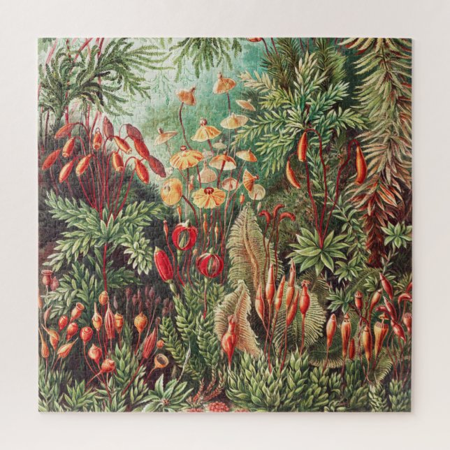 Puzzle Mosses, muscinae Laubmoose por Ernst Haeckel (Vertical)