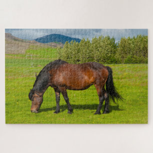 Puzzle Mossfellsbaer Caballo Islandés