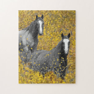 Puzzle Mostaza y caballos