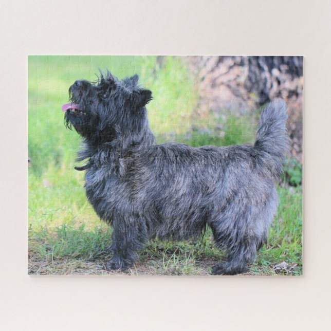 Puzzle Mostrar chica (Horizontal)