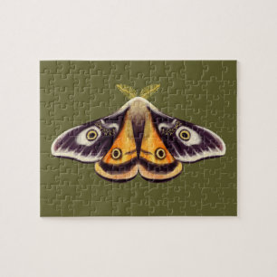 Puzzle Moth Insect Art Goblincore Saturnia Witchen Green