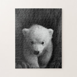Puzzle Mother and Baby Animal Bear Photography Jigsaw