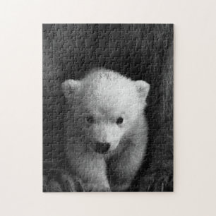 Puzzle Mother and Baby Animal Bear Photography Jigsaw