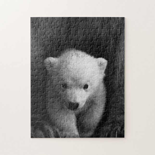 Puzzle Mother and Baby Animal Bear Photography Jigsaw (Vertical)