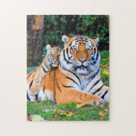Puzzle Mother and Baby Animal Tiger Photography Animal
