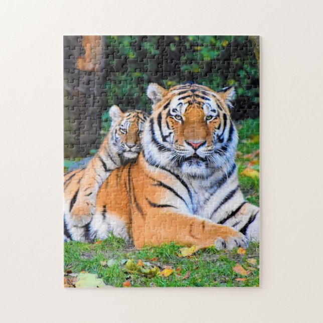 Puzzle Mother and Baby Animal Tiger Photography Animal (Vertical)