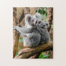 Mother andBaby Animal Koala BearPhotography Animal