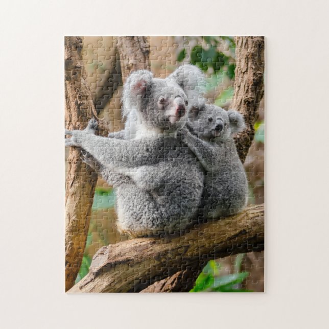 Puzzle Mother andBaby Animal Koala BearPhotography Animal (Vertical)