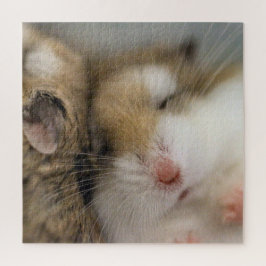 Puzzle Mover sobre Bob