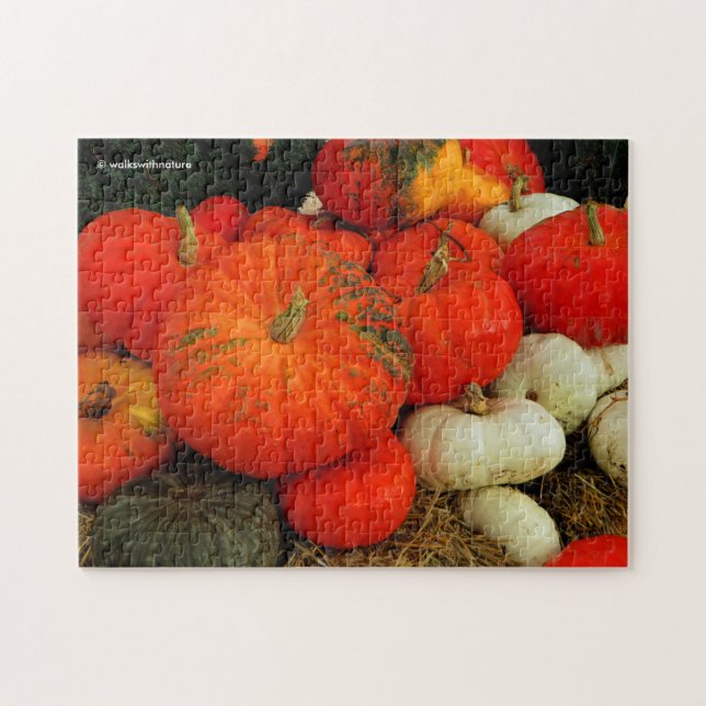 Puzzle Muchas calabazas (Horizontal)