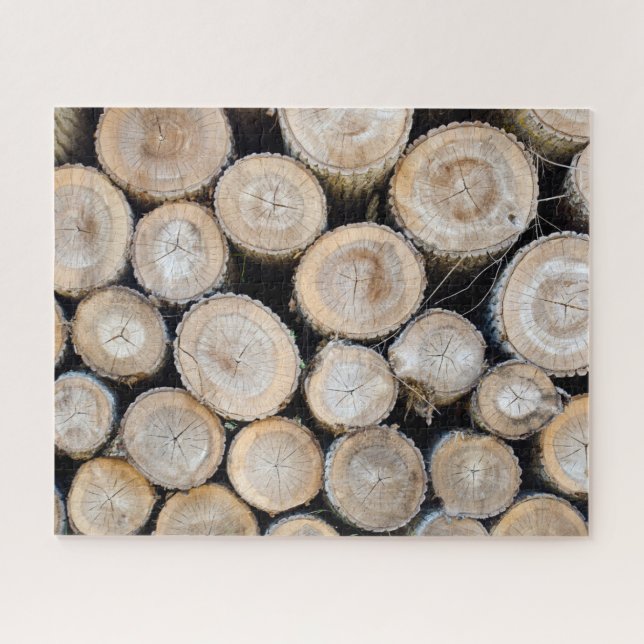 Puzzle muchos registros (Horizontal)