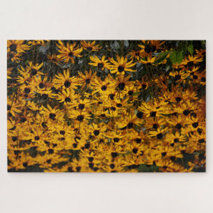 Puzzle Muchos Susans De Ojos Negros