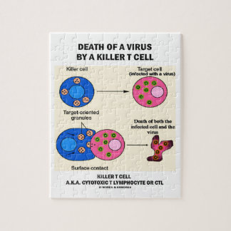 Puzzle Muerte de un virus por un linfocito T del asesino