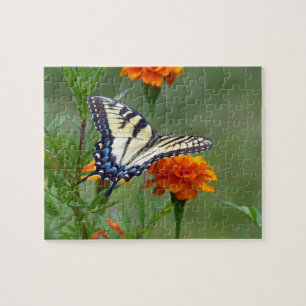 Puzzle Mujer amarilla del Tigre Oriental Swallowtail Jigs