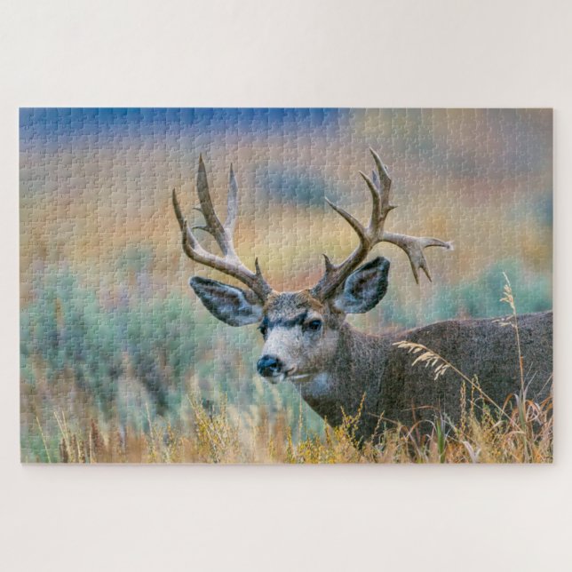 Puzzle Mule Deer Buck | Parque nacional del Gran Tetón Wy (Horizontal)