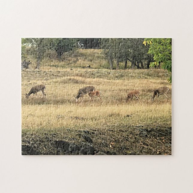 Puzzle Mule Deer en un campo (Horizontal)
