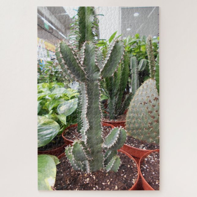 Puzzle Mundo del cactus (Vertical)