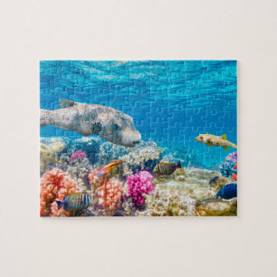 Puzzle Mundo subacuático del mar de la naturaleza hermos