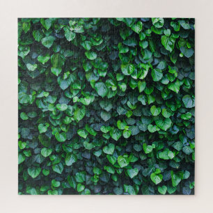 Puzzle Muro verde marfil: superficie natural.
