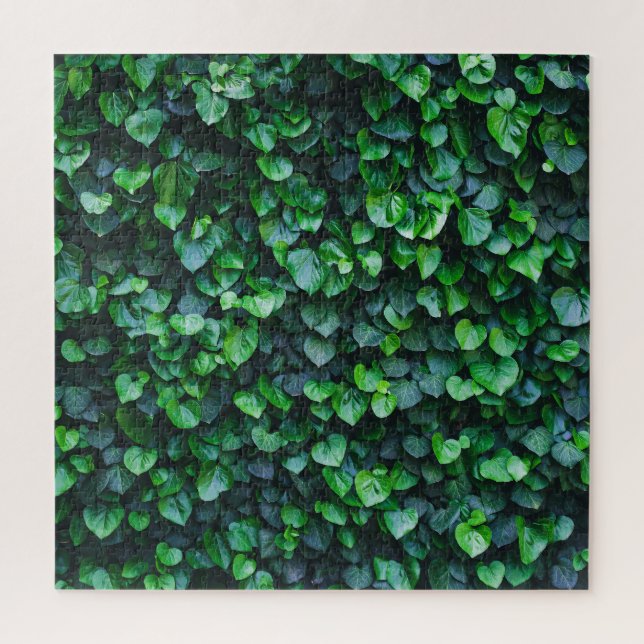 Puzzle Muro verde marfil: superficie natural. (Vertical)