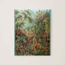 Puzzle Muscinae - Ernst Haeckel 8x10