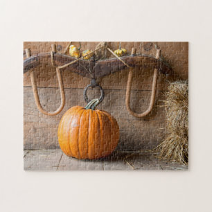 Puzzle Museo de los Granjeros. Calabaza en granero con fa