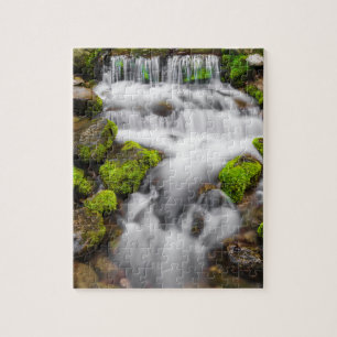 Puzzle Musgo alrededor de Fern Spring