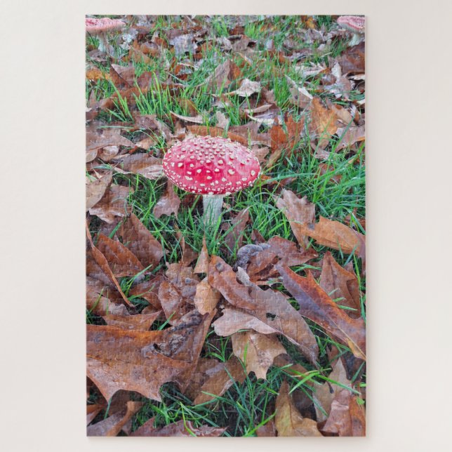 Puzzle mushroom red with white dots (Vertical)