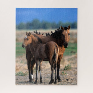 Puzzle Mustang Mare y los tontos de pie con los pájaros