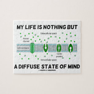 Puzzle My Life Is Nothing But A Diffuse State Of Mind