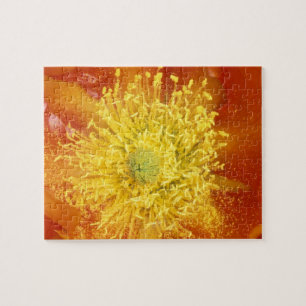Puzzle N.A., EE. UU., Arizona, Tucson, Desierto de Sonora