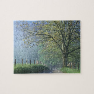 Puzzle N.A., EE. UU., Tennessee, Parque Nacional Smokey M
