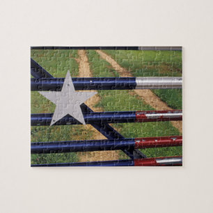 Puzzle N.A., EE. UU., Texas, lago Buchanan, bandera de Te