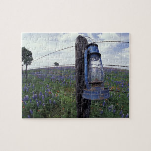 Puzzle N.A., EE. UU., Texas, Llano, Linterna Azul, Roble